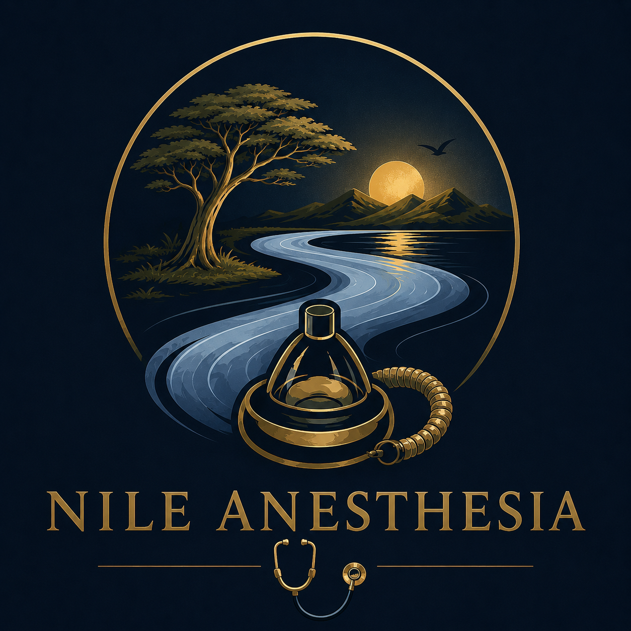 Nile Anesthesia logo